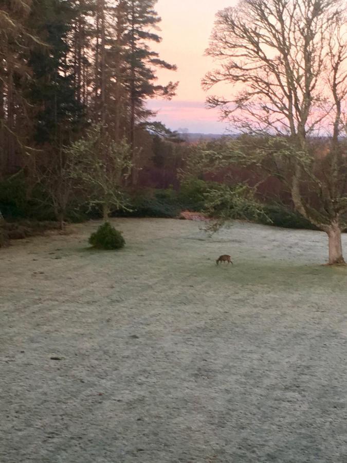 Blervie House Hotell Forres Eksteriør bilde